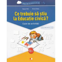 Ce trebuie sa stiu la educatie civica? trec in clasa 5 - caiet - olguta calin, doina cindea, editura litera