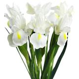 Buchet de irisi artificiali pentru decor, 57 cm, alb
