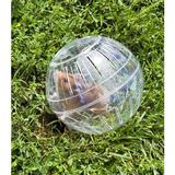 minge-hamster-transparenta-relaxdays-2.jpg