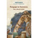 Pedagogia lui dumnezeu - Mitropolitul Ierotheos