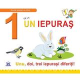 1 de la un iepuras - Greta Cencetti, Emanuela Carletti, editura Didactica Publishing House