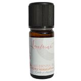 Ulei Esential Organic Cedru Himalayan Aromax, 10 ml