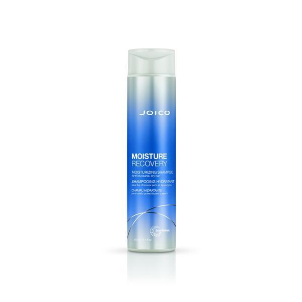 Sampon Joico Moisture Recovery 300ml 300ml imagine noua