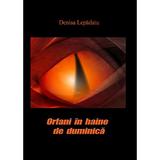 Orfani in haine de duminica (roman) - autor Denisa Lepadatu, editura InfoRapArt