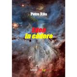 Eden in cadere - autor Petre Rau, editura InfoRapArt