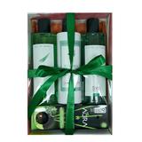 Set cadou Aloe Vera Laboratorio Sys, fără parabeni gel dus 250ml + ulei baie 250ml + lotiune + 250ml + odorizant 20ml