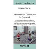 Pe urmele lui Dumnezeu in Ferentari - Mihail Ciopasiu, editura Tritonic