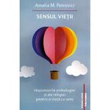 Sensul vietii. Raspunsurile psihologiei si ale religiei pentru o viata cu sens - Amalia M. Petrovici, editura Tritonic