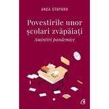 Povestirile unor scolari zvapaiati - Anca Stuparu, editura Nemira