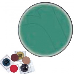 Fard de pleoape color puzzle - film maquillage ombretto compatto nr 38