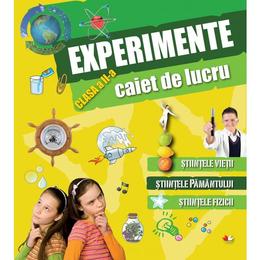 Experimente clasa 2 caiet de lucru, editura litera