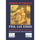 Fiul lui Iisus din Gradina Maicii Domnului - Sorin Petrescu, editura Eliteratura