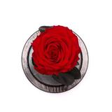 trandafir-criogenat-rosu-queen-roses-premium-in-cupola-sticla-2.jpg