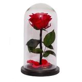 trandafir-criogenat-rosu-queen-roses-premium-in-cupola-sticla-3.jpg