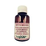 Artemisia Treya Cosmetics 30 capsule