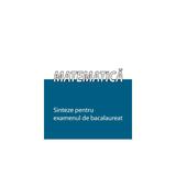 Matematica Sinteze Pentru Bac - Andrei Alexandrescu, editura Nomina
