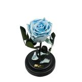 Trandafir Criogenat Bleu Queen Roses in cupola de sticla