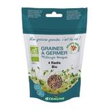 Mix din 4 ridichi pentru germinat eco Germline 100g 
