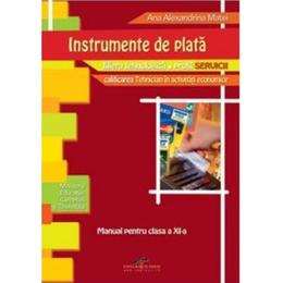 Instrumente De Plata Cls 11 - Ana Alexandrina Matei, editura Cd Press