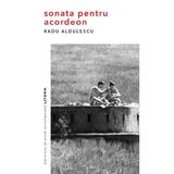 Sonata pentru acordeon - Radu Aldulescu, editura Litera