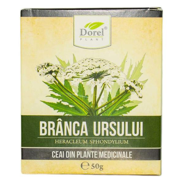 Short life - ceai de branca ursului dorel plant, 50g