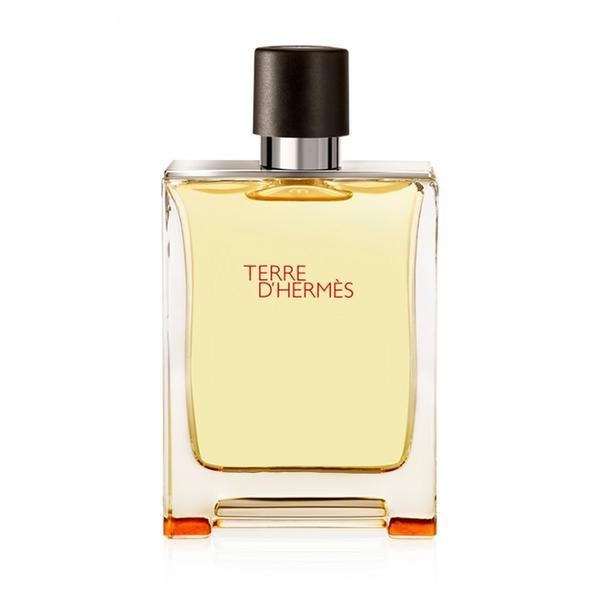 Apa de Parfum pentru Barbati Hermes Terre D&#039;hermes 50ml