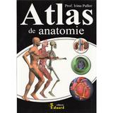 Atlas de anatomie - Irina Paller, editura Eduard