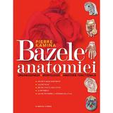 Bazele Anatomiei - Pierre Kamina, editura Litera