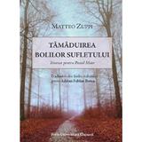 Tamaduirea bolilor sufletului - Matteo Zuppi, editura Presa Universitara Clujeana
