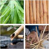 suport-uscator-vase-bambus-natur-caerus-capital-4.jpg