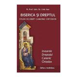 Biserica si dreptul Vol. 2: Izvoarele dreptului canonic ortodox - Liviu Stan, editura Andreiana