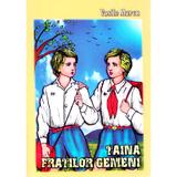 Taina fratilor gemeni - Vasile Marcu, editura Agapis