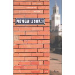 Provocarile strazii - constantin necula, editura agnos