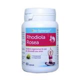 SHORT LIFE - Rhodiola Rosea Bio-Synergie, 60 capsule