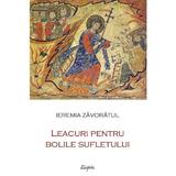 Leacuri pentru bolile sufletului - Ieremia Zavoratul, editura Sophia