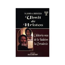 Uimit de hristos - james a. bernstein, editura ecclesiast