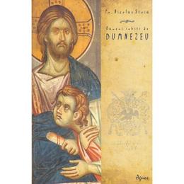 Oameni iubiti de dumnezeu - nicolae stoia, editura agnos