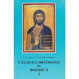 Calauza ortodoxa in biserca I - Ioanichie Balan, editura Mitropolia Moldovei