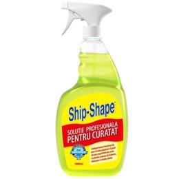 Solutie profesionala pentru curatat - barbicide ship-shape professional surface   appliance cleaner, 1000ml