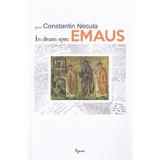 In drum spre Emaus - Constantin Necula, editura Agnos