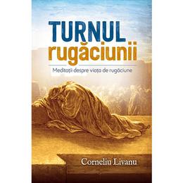 Turnul rugaciunii - corneliu livanu, editura casa cartii