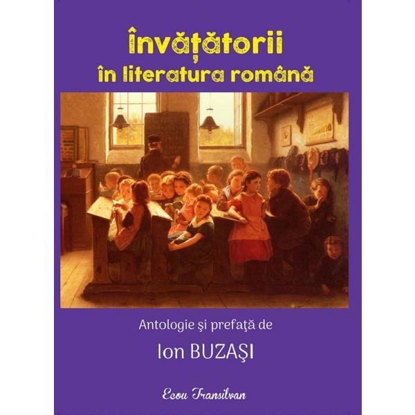 Invatatorii in literatura romana - Ion Buzasi, editura Ecou Transilvan