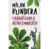 Sarbatoarea neinsemnatatii - Milan Kundera, editura Humanitas