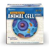 sectiunea-celulei-animale-3.jpg