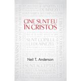 Cine Sunt Eu In Cristos - Neil T. Anderson, editura Casa Cartii