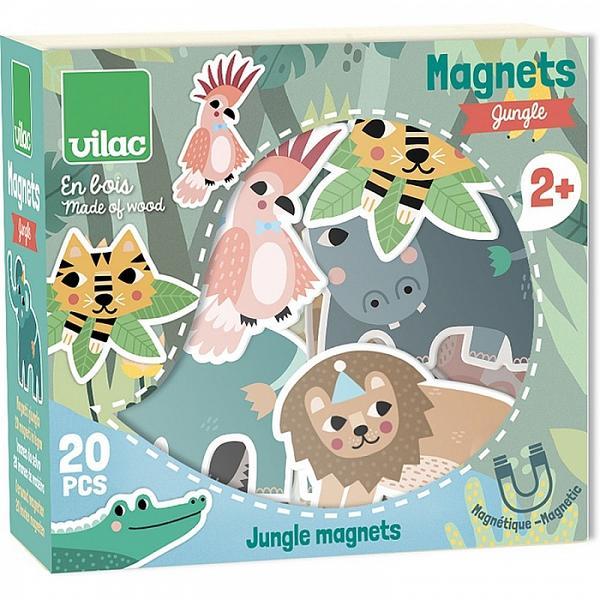 Magneti jungla
