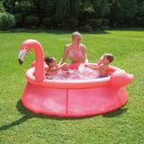 piscin-cu-inel-gonflabil-summer-waves-qs-dimensiuni-183x51cm-flamingo-3.jpg