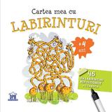 Cartea mea cu labirinturi. 46 de labirinturi refolosibile + o carioca 4 ani+, editura Didactica Publishing House