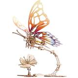 Puzzle Butterfly mechanical. Fluture mecanic