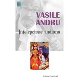 Intelepciune indiana - Vasile Andru, editura Paralela 45